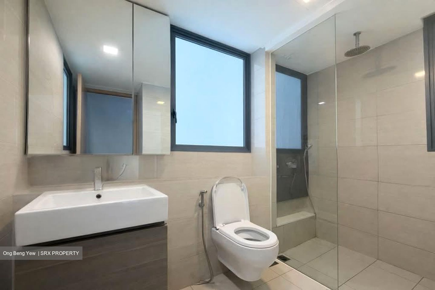 Belysa (D18), Condominium #557203841